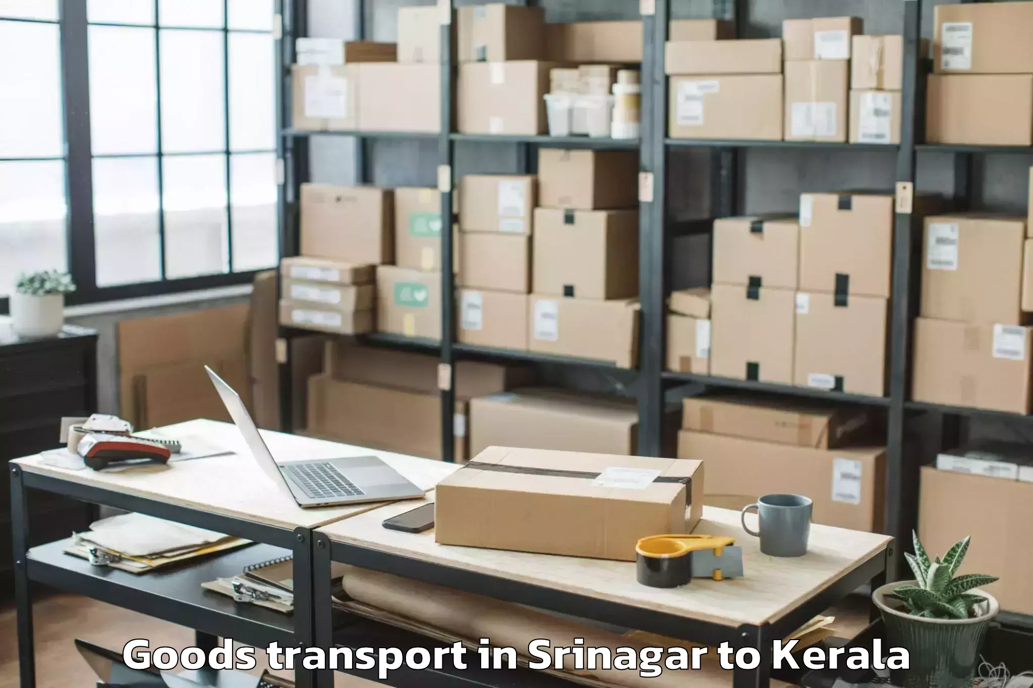 Get Srinagar to Kasaragod Goods Transport